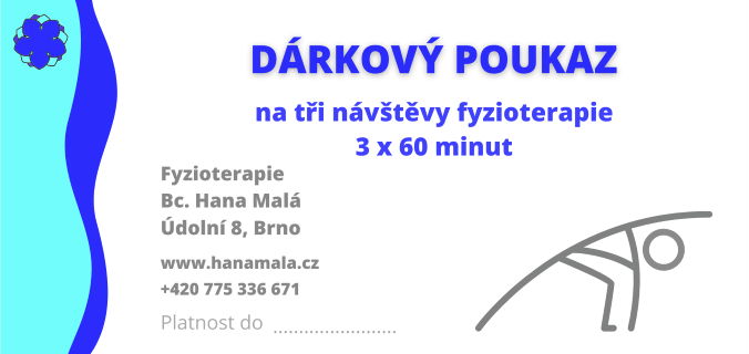 1x60 minut fyzioterapie
